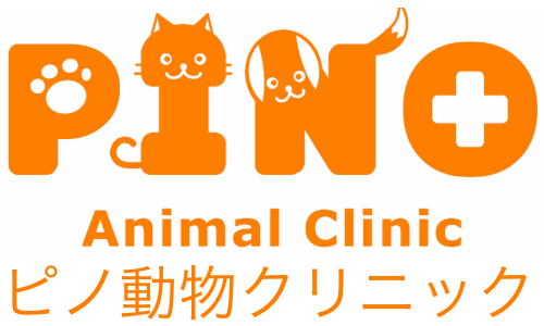 ピノ動物クリニック｜大垣の動物病院｜診療のご案内