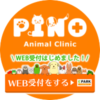 ピノ動物クリニック｜WEB受付