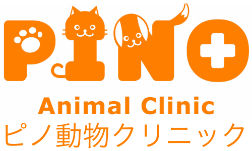 ピノ動物クリニック｜大垣の動物病院